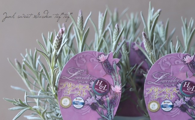 �ե�����٥�������إץ�󥻥��������ȡ�