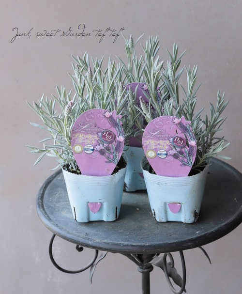 �ե�����٥�������إץ�󥻥��������ȡ�