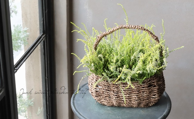 ���롼�ʡ���No.B��