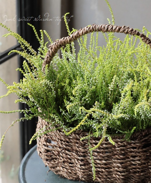 ���롼�ʡ���No.B��