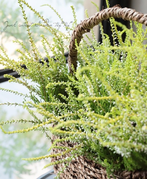 ���롼�ʡ���No.B��