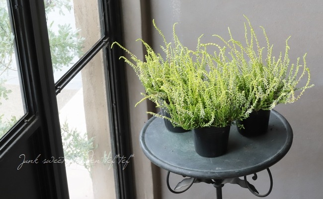 ���롼�ʡ���No.B��