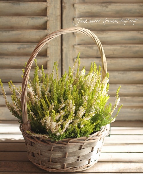 ���롼�ʡ���No.B��