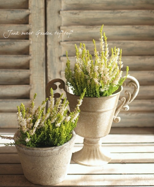 ���롼�ʡ���No.B��