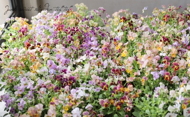 ֥餵Ѥ餭ӥ顡ͣɣؿ