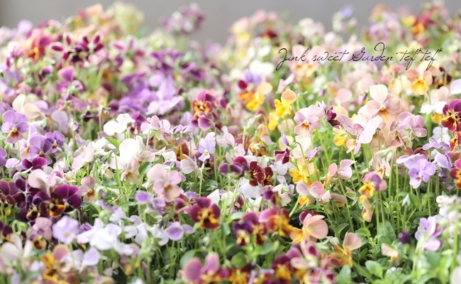 ֥餵Ѥ餭ӥ顡ͣɣؿ