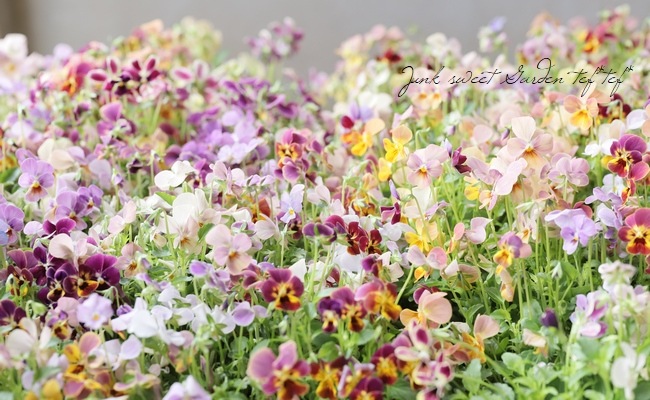 ֥餵Ѥ餭ӥ顡ͣɣؿ