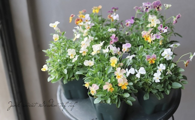 ֥餵Ѥ餭ӥ顡ͣɣؿ