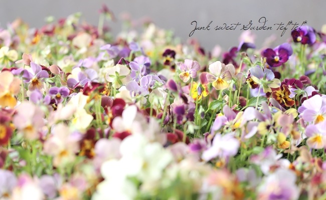 ֥餵Ѥ餭ӥ顡ͣɣؿ