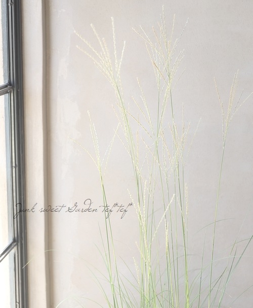 �ڥ��饹��ʪ�ۥߥ����󥵥����إ��饤�� ����С����ѥ���� 