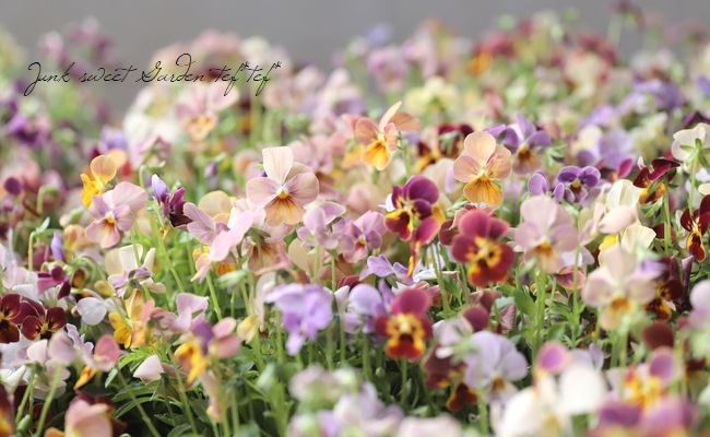 ֥餵Ѥ餭ӥ顡ͣɣؿ