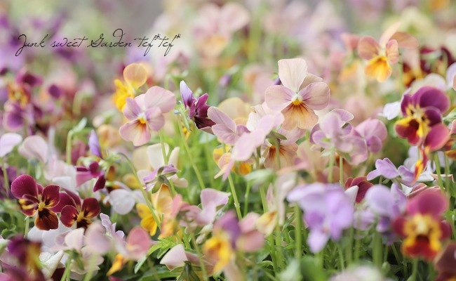 ֥餵Ѥ餭ӥ顡ͣɣؿ