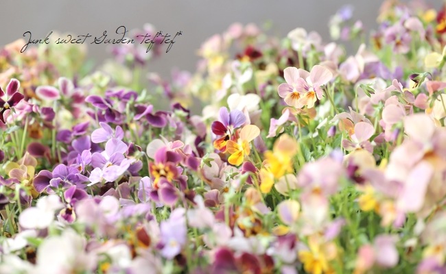 ֥餵Ѥ餭ӥ顡ͣɣؿ