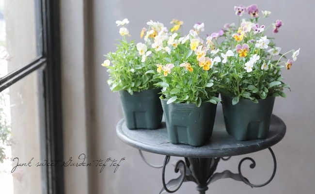 ֥餵Ѥ餭ӥ顡ͣɣؿ