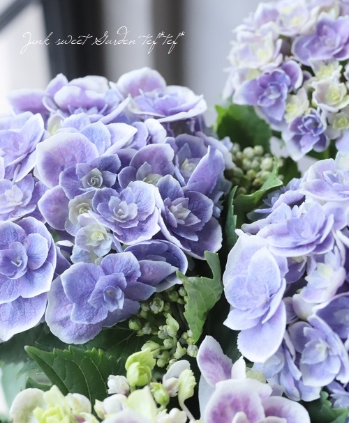 ���۲� ��ŷ�������� �ʥ��ޥƥ饹�����ߥ��ߡ�Ȭ�ź餭