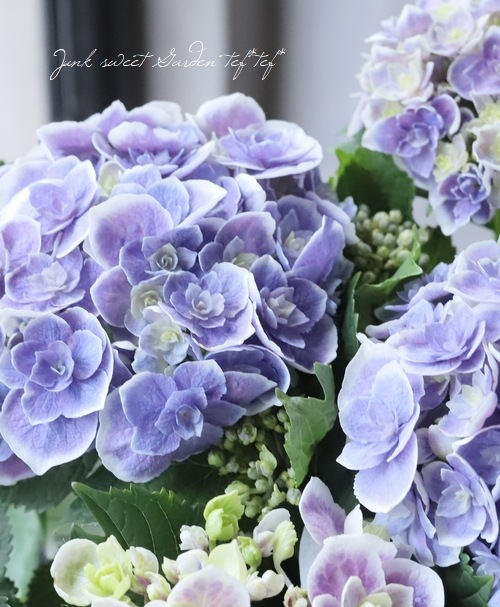 ���۲� ��ŷ�������� �ʥ��ޥƥ饹�����ߥ��ߡ�Ȭ�ź餭