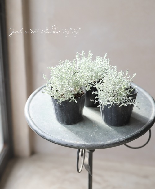 �������ե��륹���إץ�����ʡ� 