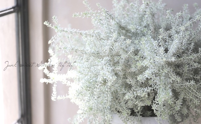 �������ե��륹���إץ�����ʡ� 