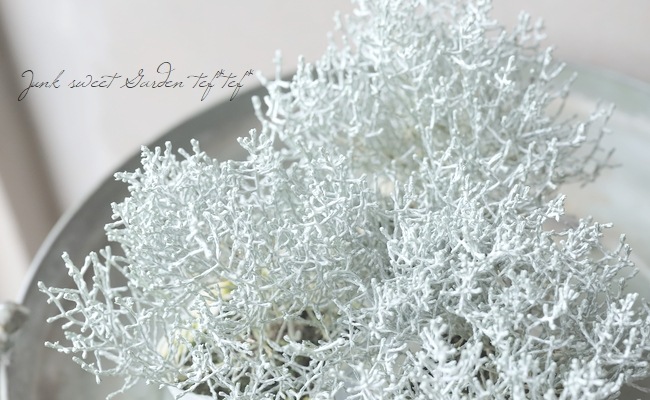 �������ե��륹���إץ�����ʡ� 