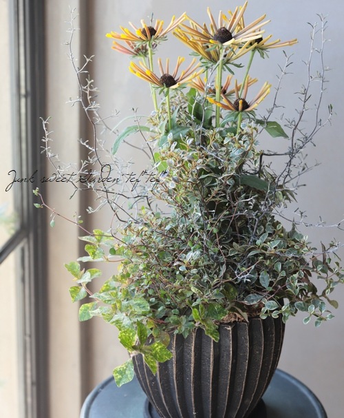 �ޥ�ܡ��롡�֥�å��������