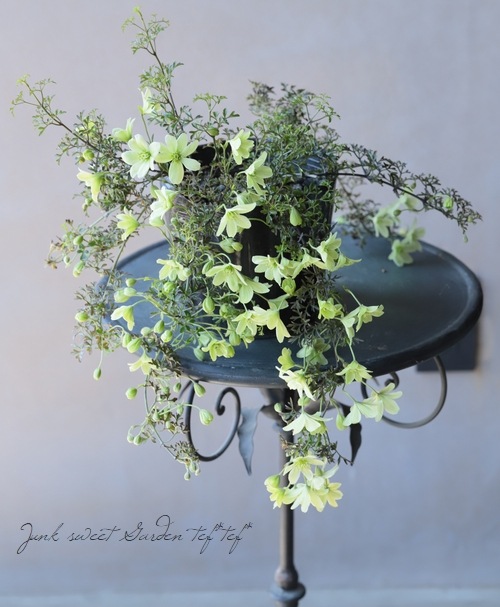 եƥ꡼ϥޥ إڥȥꥨ