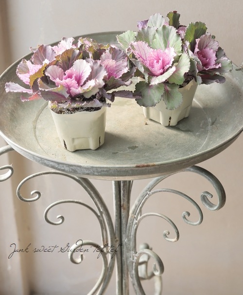 ���ղ�ð ���å���󥷥꡼�����إԥ󥯥ƥ���ѥ� ��