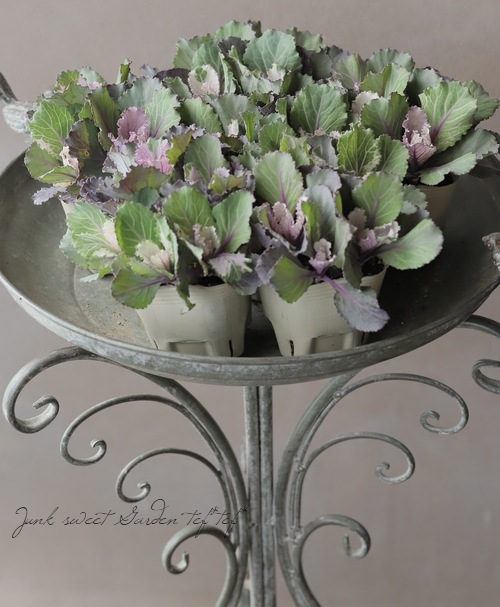 ���ղ�ð ���å���󥷥꡼�����إԥ󥯥ƥ���ѥ� ��