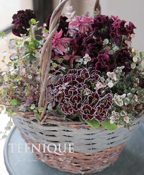 ڴ󤻿-TEFNIQUE-󤻿å 2021 * no.29 *ͥåʤ֤ΥХåȡ