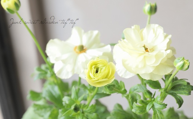 10%OFF】 展示品…ラナンキュラスと花達の箱庭リース…大✣ フラワー