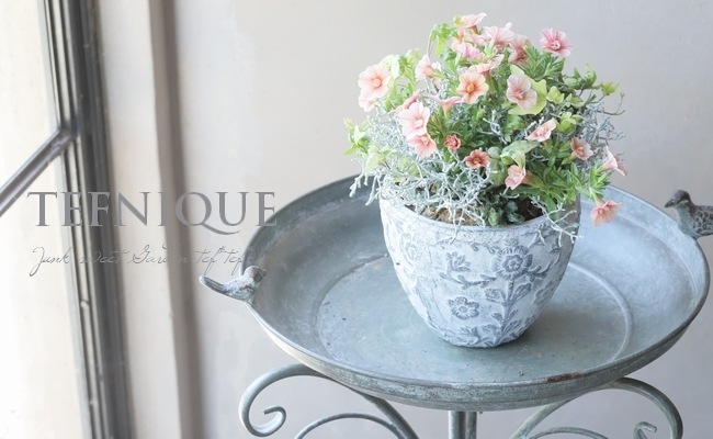 随時お届け】 母の日の寄せ植えプチギフト【D】先行割引価格！ | 寄せ