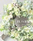 �ڴ󤻿����� -TEFNIQUE-�󤻿����꡼�� 2024 * no.28 *������Ȫ�Υ��奨�꡼�꡼����
