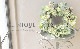 �ڴ󤻿����� -TEFNIQUE-�󤻿����꡼�� 2024 * no.28 *������Ȫ�Υ��奨�꡼�꡼����