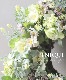 �ڴ󤻿����� -TEFNIQUE-�󤻿����꡼�� 2024 * no.28 *������Ȫ�Υ��奨�꡼�꡼����