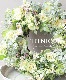 �ڴ󤻿����� -TEFNIQUE-�󤻿����꡼�� 2024 * no.28 *������Ȫ�Υ��奨�꡼�꡼����