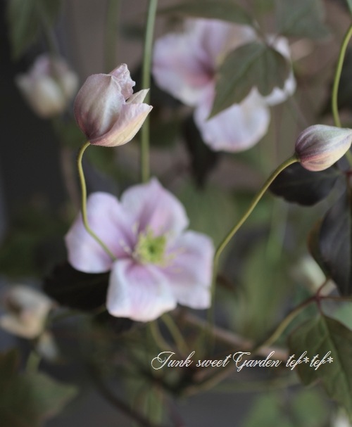 Ƽ�ե�󥿥ʷϥ���ޥ������إᥤ�꡼���