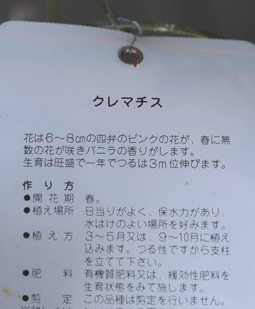 Ƽ�ե�󥿥ʷϥ���ޥ������إᥤ�꡼���