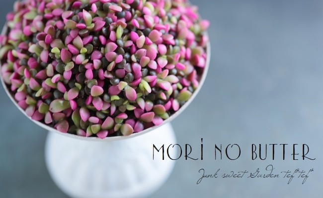 ��¿����ʪ�ۡ��غ�����١����ʥ���ץ�����°