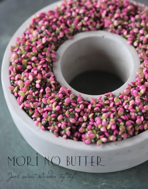 ��¿����ʪ�ۡ��غ�����١����ʥ���ץ�����°