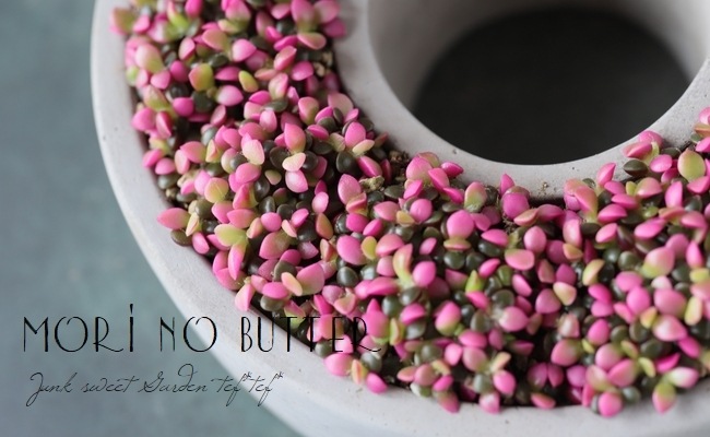 ��¿����ʪ�ۡ��غ�����١����ʥ���ץ�����°