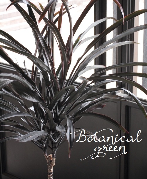 Ķʼ른͡إ֥åѥ١ʬ