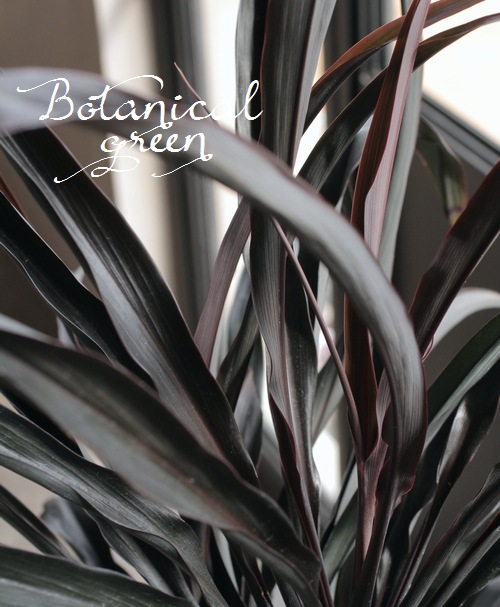 Ķʼ른͡إ֥åѥ١ʬ