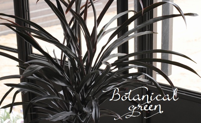 Ķʼ른͡إ֥åѥ١ʬ