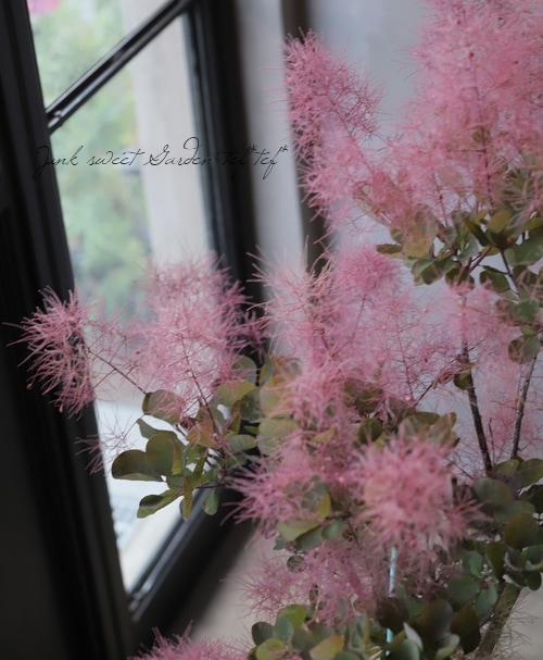 香る♪ラベンダー⋆︎*レッドスモークツリーのナチュラルスワッグ⑅︎2