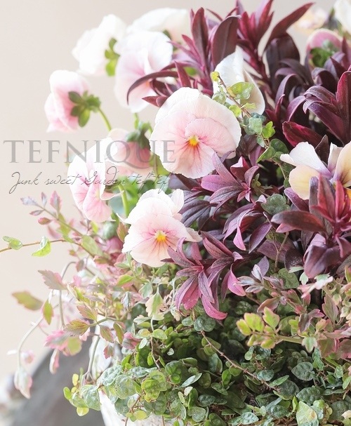 寄せ植え】-TEFNIQUE-寄せ植え 2023 * no.10 * 『スプリングブロッサム 