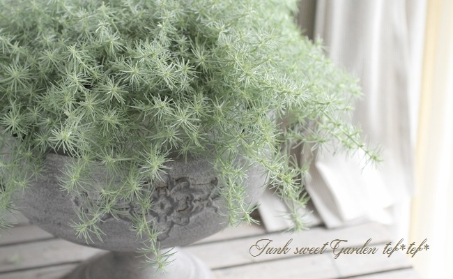 �դ�դ�����������إ��åȥ󥭥��ǥ���