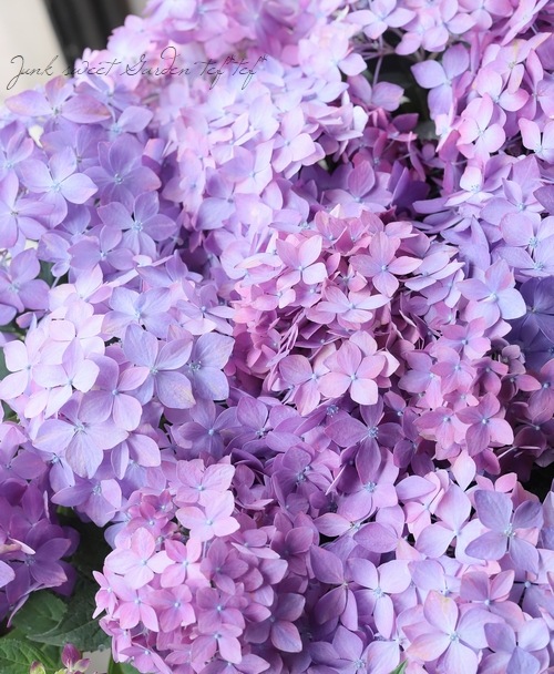 ロイスクレヨン　紫陽花　ワンピース Lois CRAYON - ロイスクレヨン 幻 アジサイ紫陽花 スミレの通販