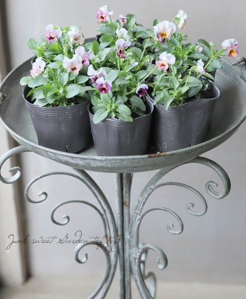 ���ߤ�ȥӥ��顡�ؤդ�դ���������