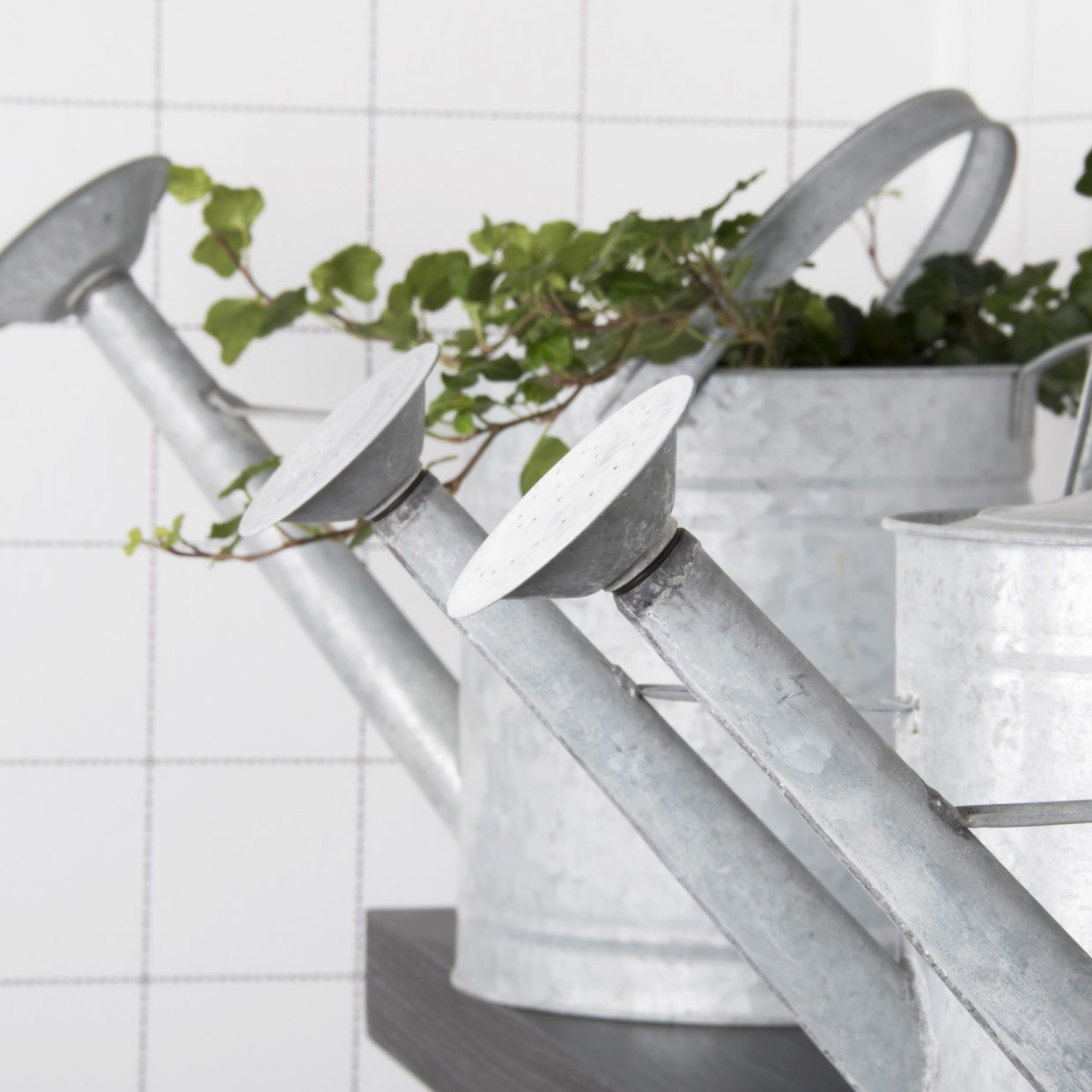 ڻߡ ڥ Esschert design ɥ󥰡󥰥󡡡3.5åȥ