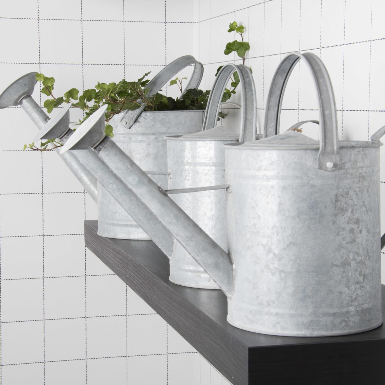 ڻߡ ڥ Esschert design ɥ󥰡󥰥󡡡3.5åȥ