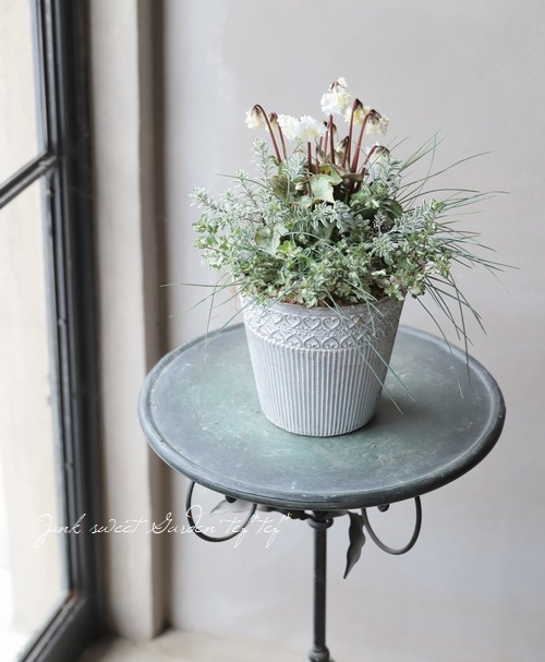 TEFNIQUE-寄せ植え 2020 * no.52 * 『白鳥の冬旅に思いを乗せて